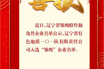 一〇一队公司喜报！
