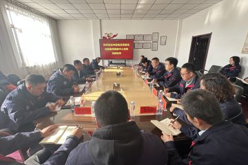 中国地质调查局沈阳地质调查中心领导一行莅临有色地质一〇一队公司指导工作